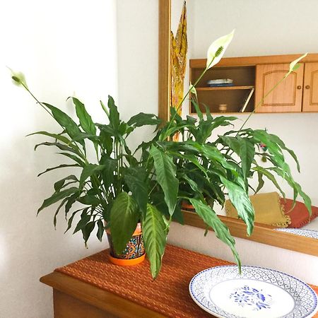 Casa De Amig@S En Santa Cruz De La Palma Apartment Santa Cruz de la Palma  Ngoại thất bức ảnh